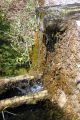 2010 07 14 jeanmarcperfetti.com 009.JPG